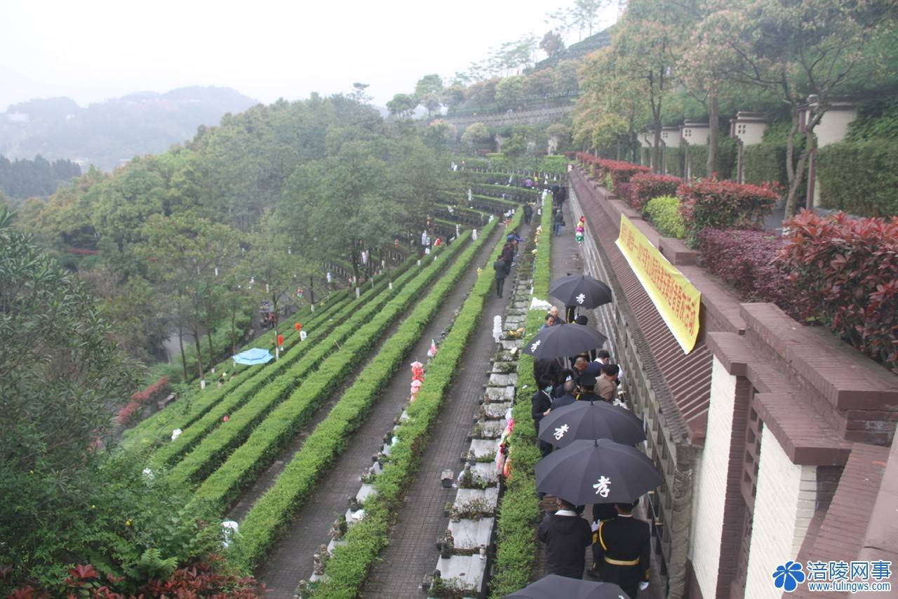 我们的节日清明节丨涪陵青龙山陵园开展清明祭扫系列活动