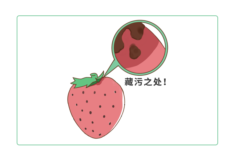 草莓是最脏水果娃拉肚子性早熟这里不洗咋吃都中毒