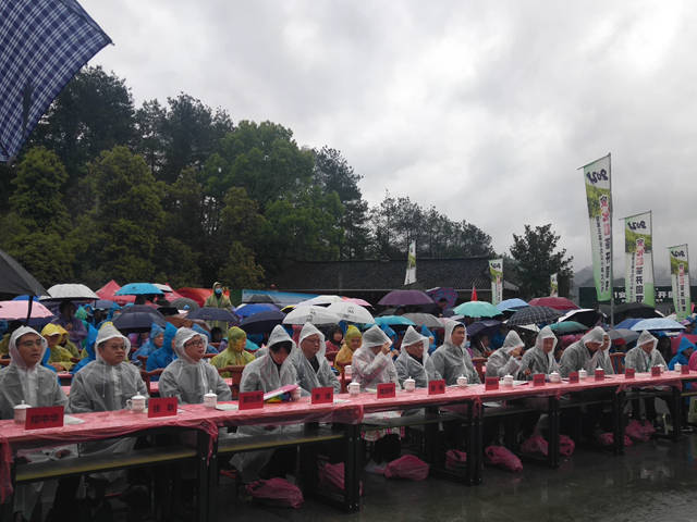 云台山小笋文化节于今天在龙泉洞广场正式开幕