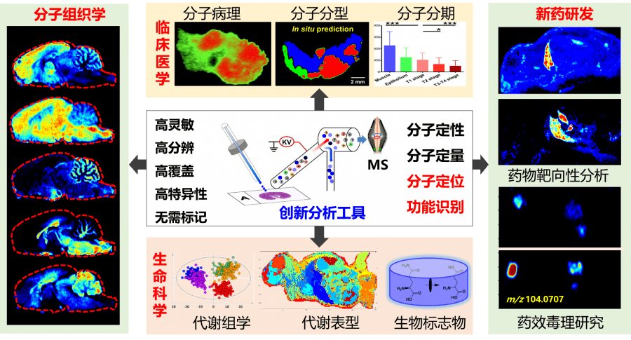 曾经错过热潮空间转录组别再错过新秀空间代谢组