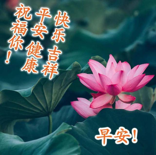 週末愉快特漂亮祝福表情圖片,願陽光與快樂與你同在,早安祝福詞句