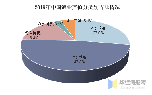 舟山渔业经济总量_2020舟山渔业油船