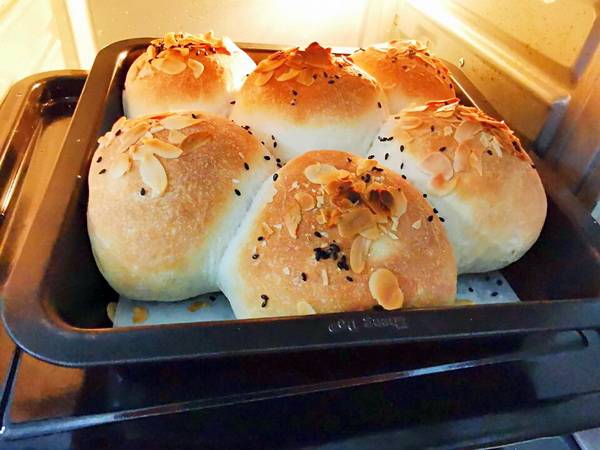 原创低油的地瓜餐包长势良好春游带上它倍有面子