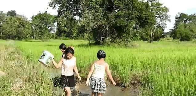 中国人到缅甸旅游，看到缅甸姑娘摸鱼，网友：这方法很原始