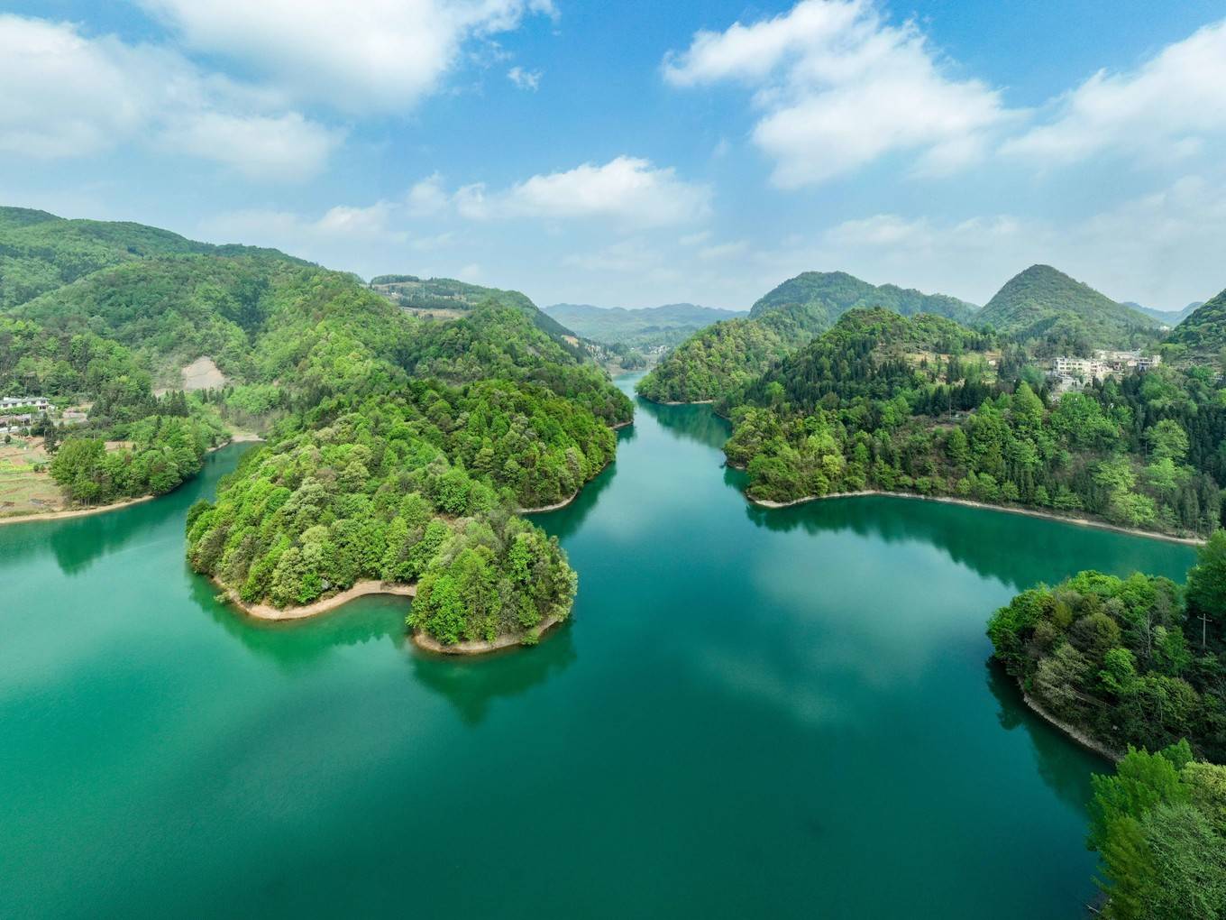 贵州毕节的杜鹃花开得漫山遍野百里杜鹃一片花海是在太惊艳