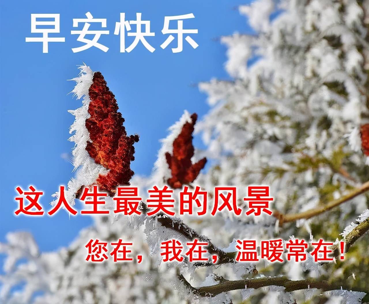 5a7d210fab22482a86b8daf45a1dbc9c.jpeg