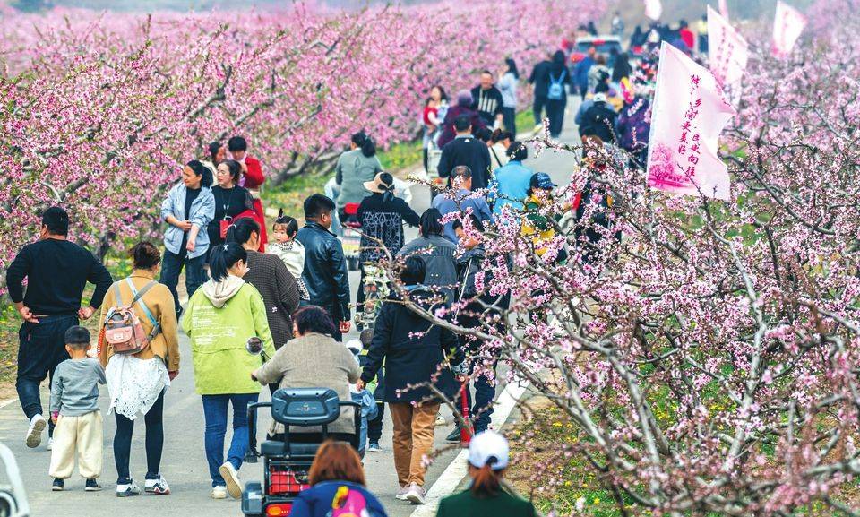 山西日报·生态「图片新闻」春日赏花