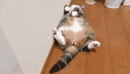 7331c4aadf624299a487c13a9a47e51c.gif