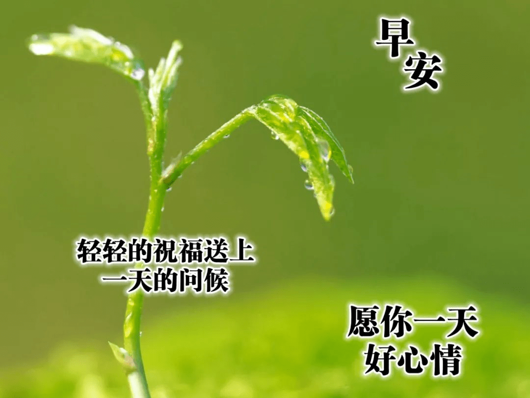 7a744ba19d49461883a0c14d3a2071a3.png