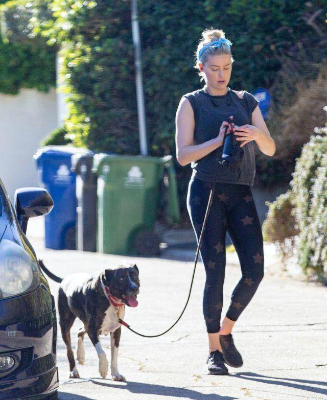 艾梅柏·希尔德穿灰色t恤搭配无痕裤,展现运动健美气质,太拉风_漂亮