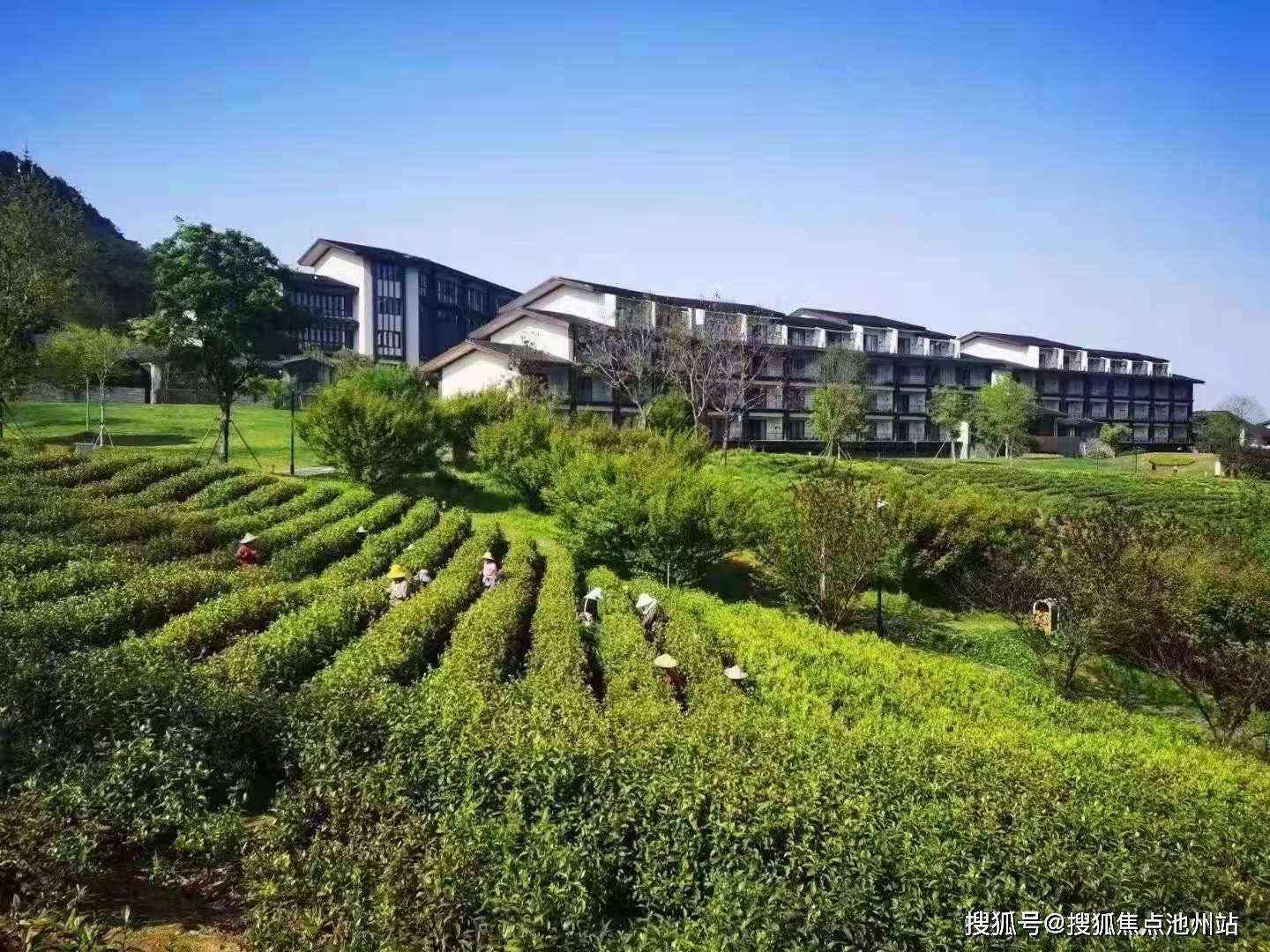 【官方】2021安吉【中旅和乐小镇】售楼处电话—售楼处地址—最新房源