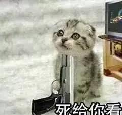 怎么给猫打疫苗啊 3b8b63a6e1e3403ab959079476760324.jpeg