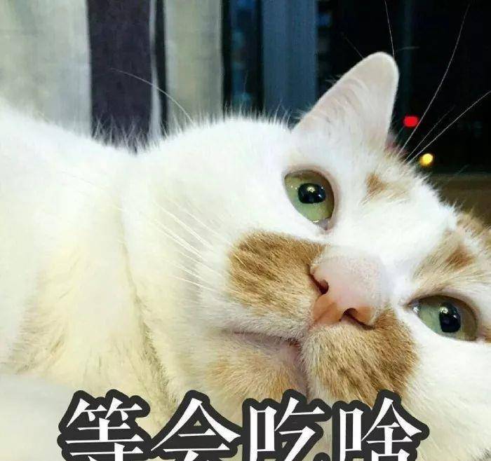 8a90d353a7f84a48aa8e9a0145a5ca2a.jpeg