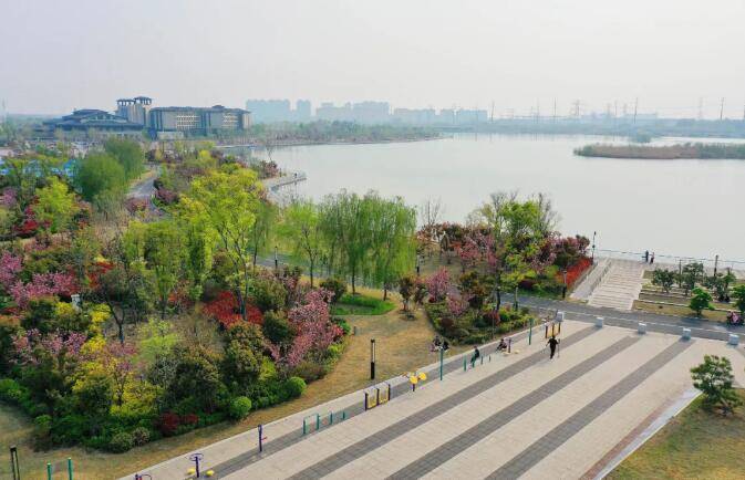 花开成海,濮阳这个地方告诉你什么叫颜值爆表!