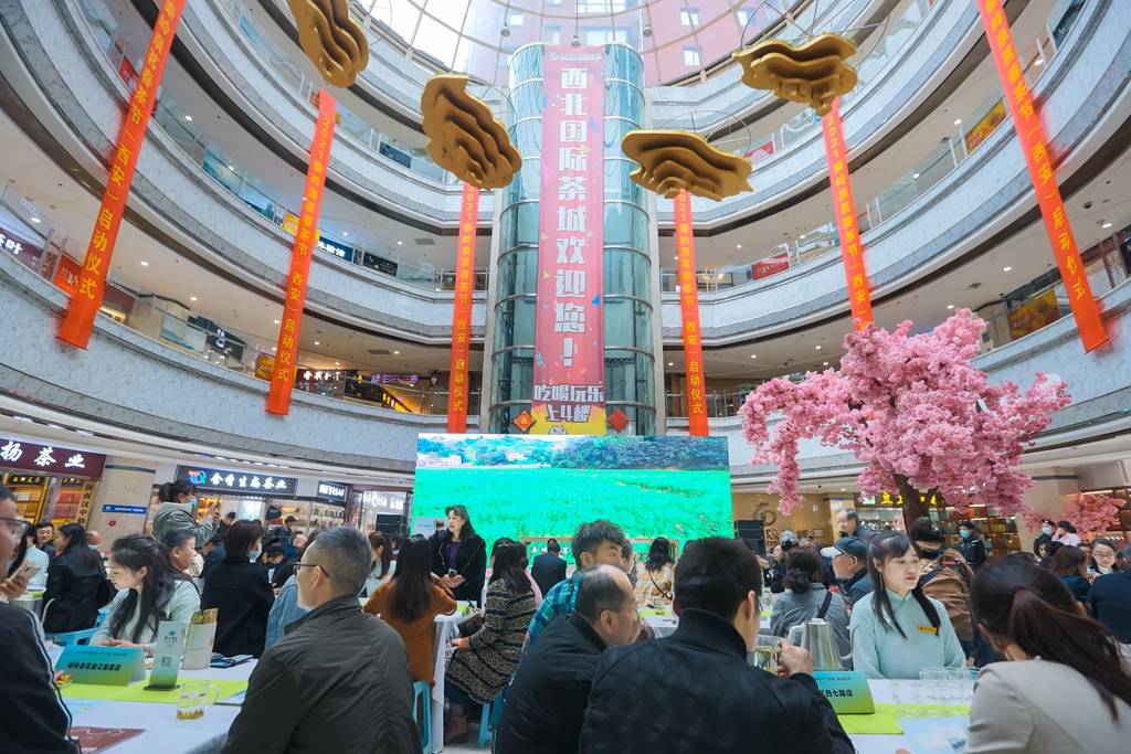 茶香四溢茶韵悠扬秦岭泉茗春茶节在西安启动