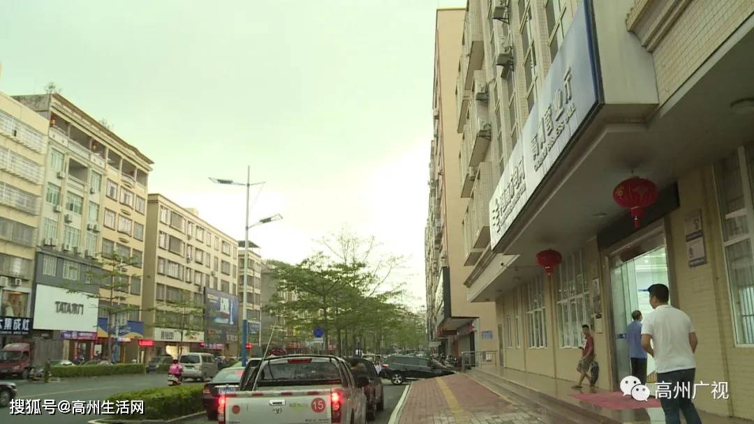 惨不忍睹高州市区七棵绿化树这样被砍