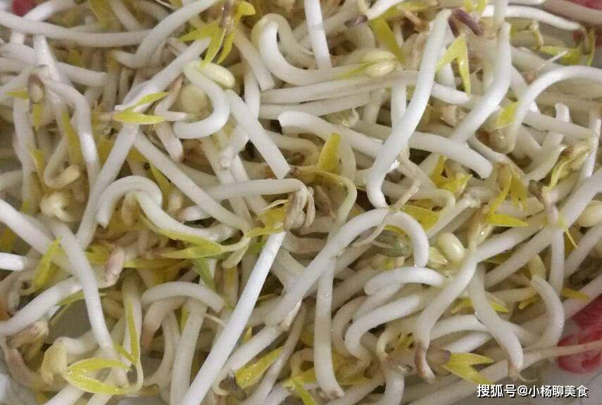 自己家做豆芽 6287b801bf7a43ad83d699afeec4fcef.jpeg