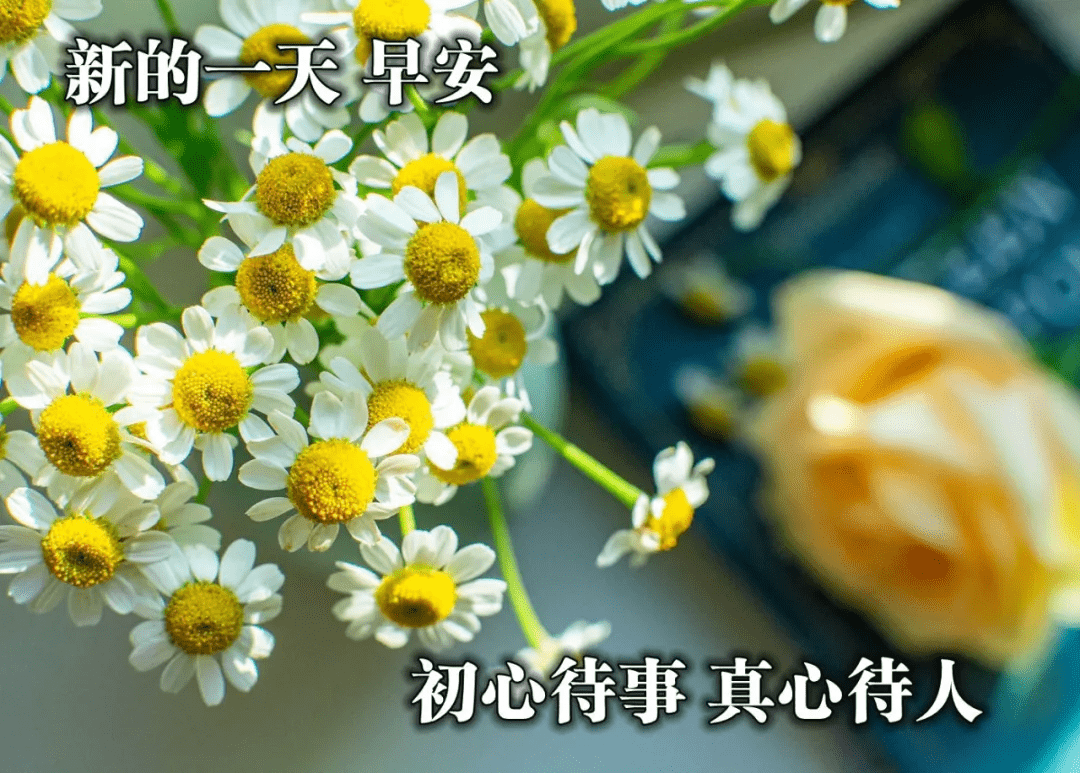 原創朋友圈全新早安暖心祝福圖片帶字2021年最美的早安祝福問候暖心