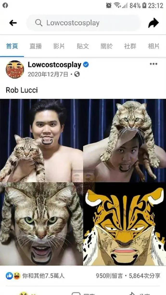 泰国小哥用猫cosplay，厉害了！