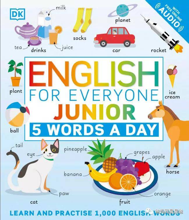 dk精品新书:100%解决孩子英文词汇量每天掌握5个单词_english
