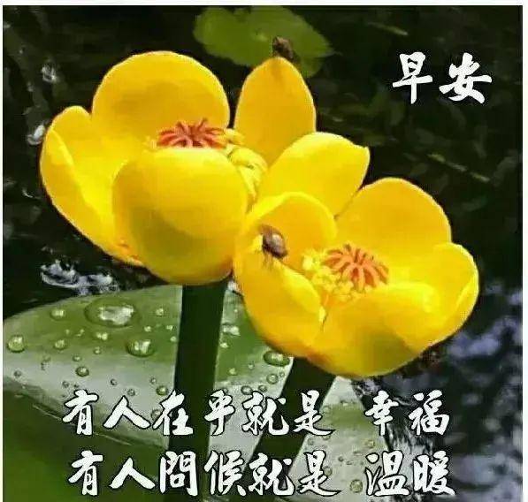 d683bc0ac16b4adcbd7b9fcf9effea89.jpeg