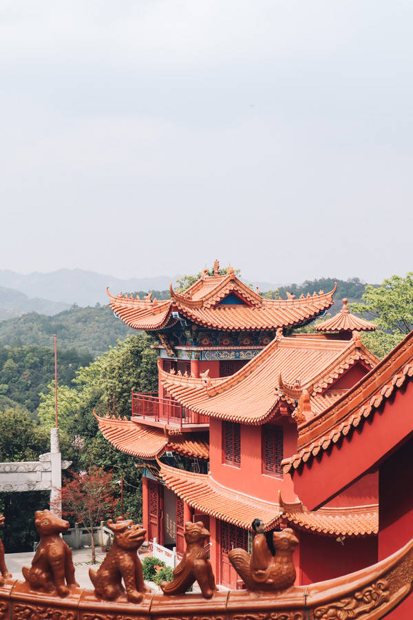 周末自驾游赣州全南,访古村游天龙山吃客家美食