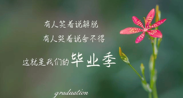 21ea1978b4c747d1817a5498f03509ad.png