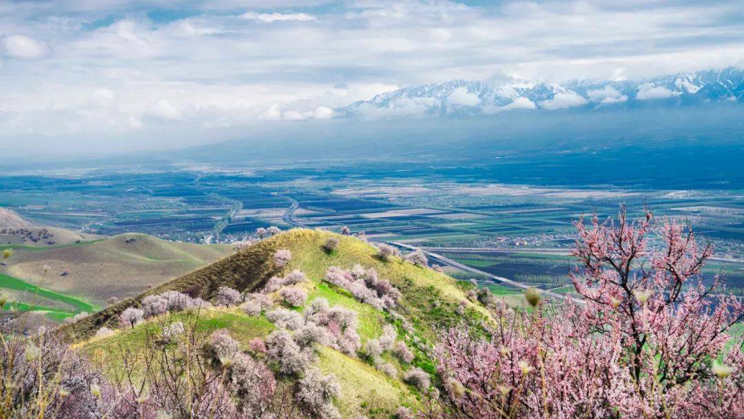 其实大可不必担忧,新疆的杏花沟景区已经发展的很完善,半山腰有停车场