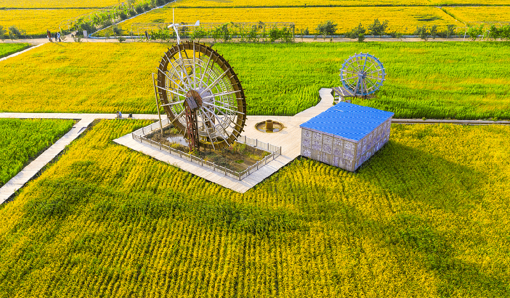 普通乡村在休闲农业领域的求生欲,如何正视,如何落地?_种植