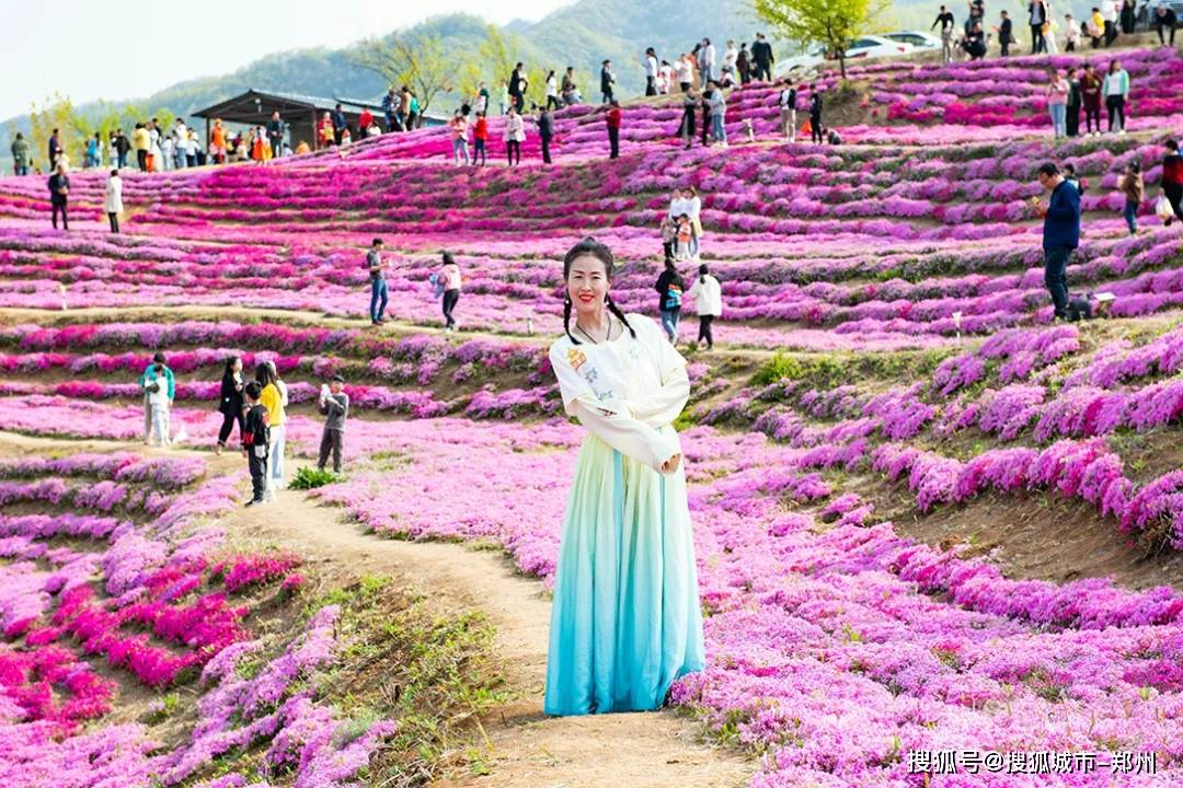 本周气温最高26 里仁芝樱花海将于本周末 4月17日 进入盛花期 嵩县