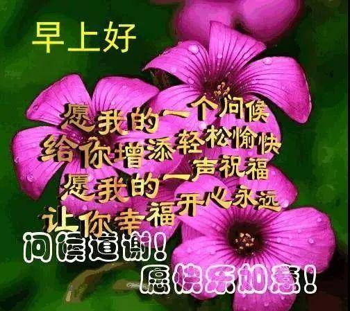早上好早安暖心祝福问候语简短短信漂亮的动态表情