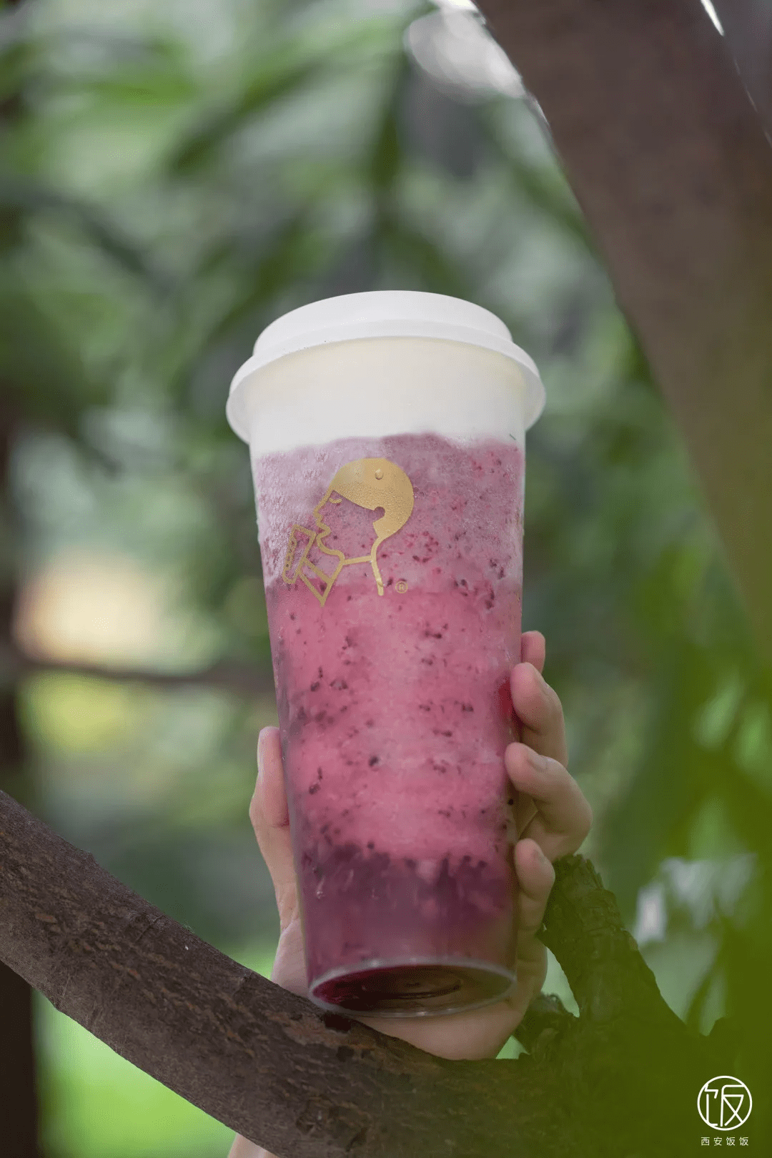 喜茶多肉杨梅回归品尝初夏第一口鲜