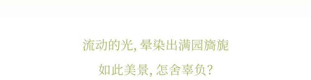 ��������ű���֮��԰����ס�������δ���Ĵ���