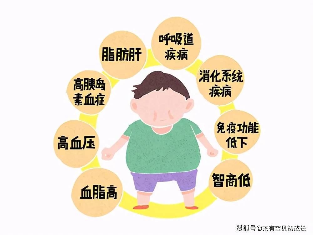 如何控制饮食习惯 0388a301ed54466abc9e4d25d2fb73b4.jpeg