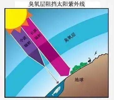 氧化|臭氧的“变坏”历程