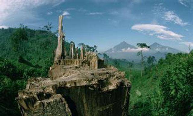 世界上唯一两个名字相同的国家 同名不同命 两国首都隔了一条河 王国