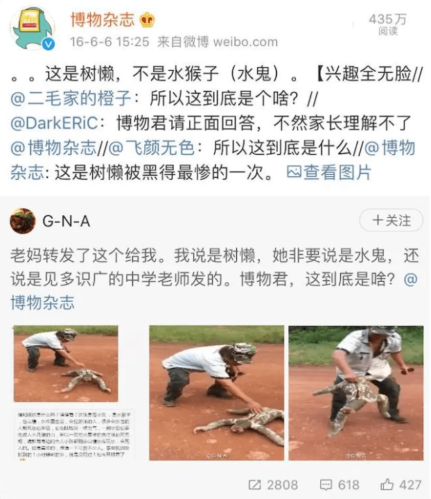 头一顿猛锤,然而他酷似藏狐的长相被人直接安上了"藏狐打人"的帽子