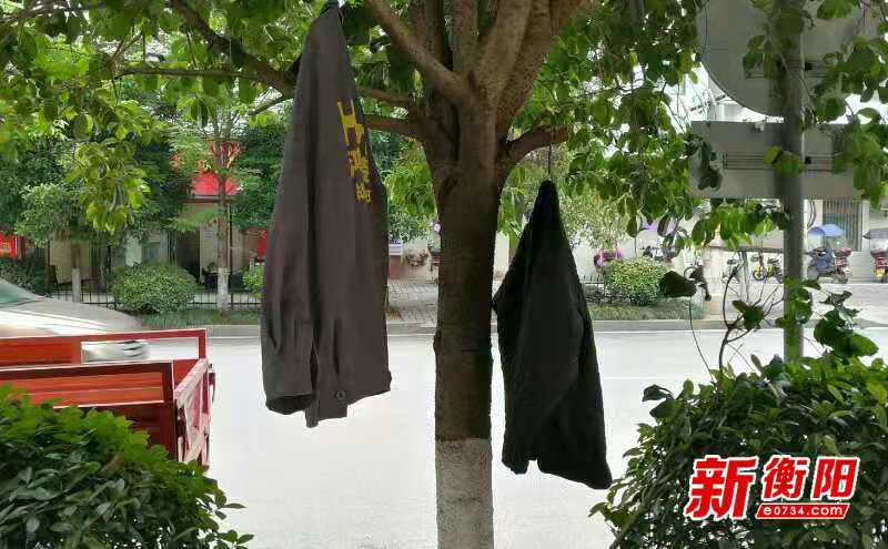 向不文明行为说"不:道源路人行道上树木成了"晾衣架"