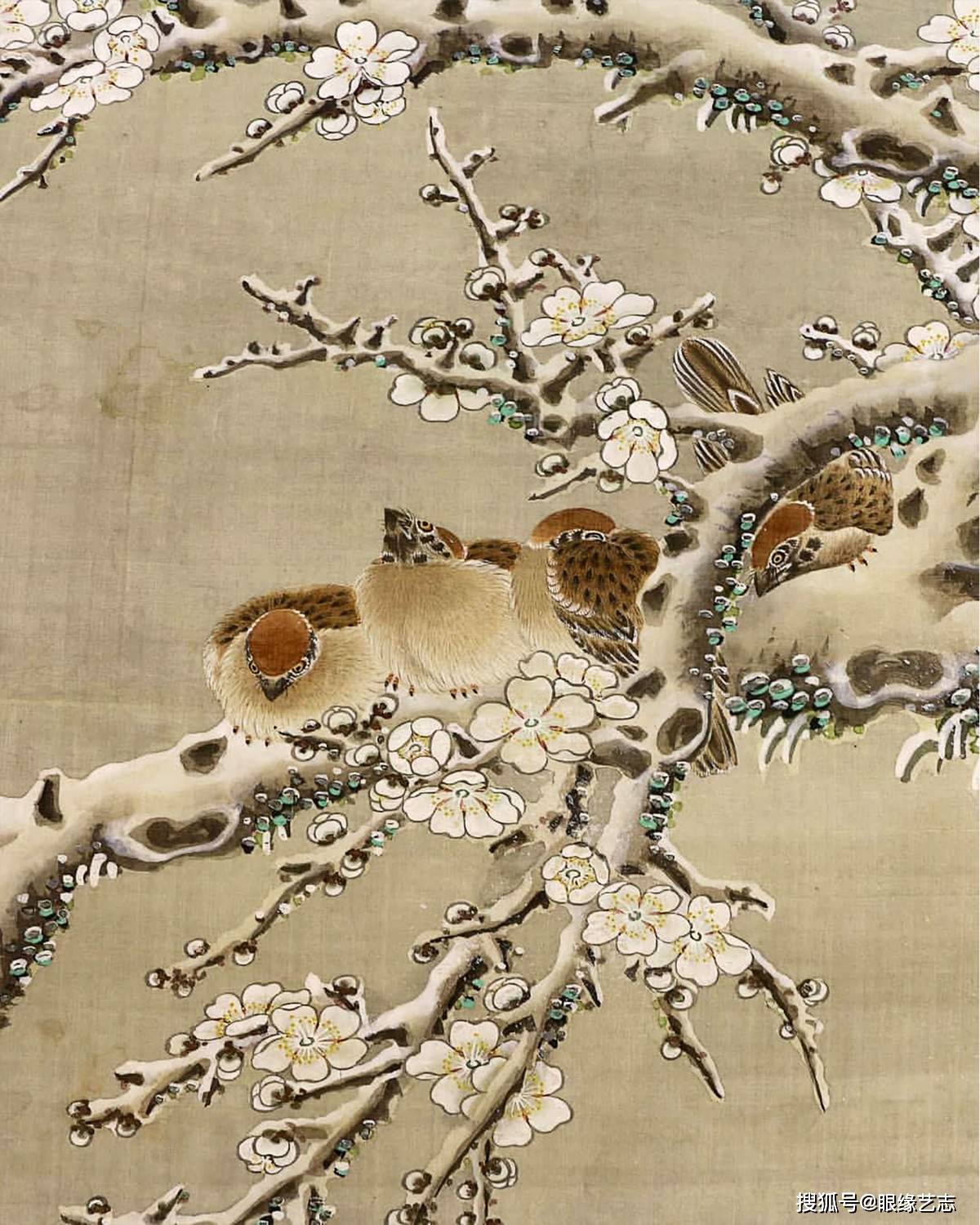日本传统绘画精赏孔雀莲花雪翎花羽