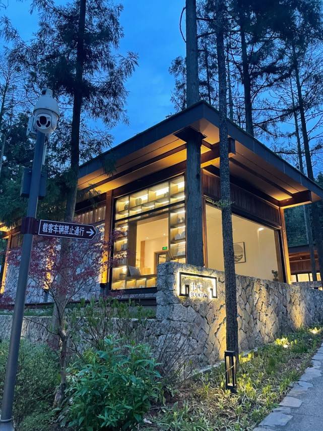 宁波住进雪窦山之巅的林间树屋漫步山间寻趣