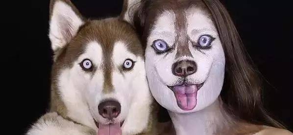 狗为啥突然不吃饭了 f0b497b471534f51b574ec92c79b94fb.jpeg