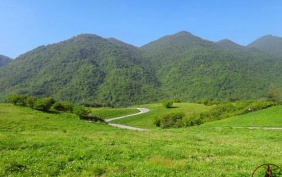 全球高海拔最大最美的鲜花海洋，重庆红池坝，夏天避暑的好地方