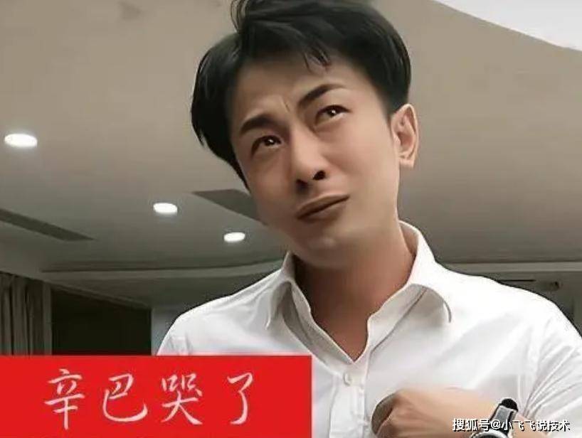 原创辛巴这次真完了，嚣张跋扈、狂妄自负，终究是搬起石头打自己的脚