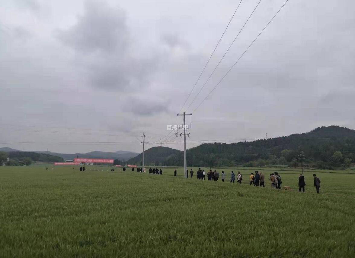 近期,是小麦条锈病和赤霉病等病虫害的高发期,但在梓潼县长卿镇白雀村