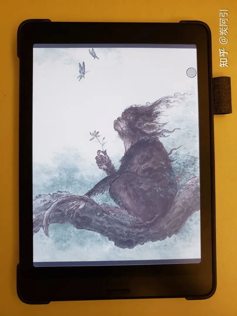 Nova3 Color����:���߼���ī���豸,�����Ԫ���û��Ĳ���ѡ��