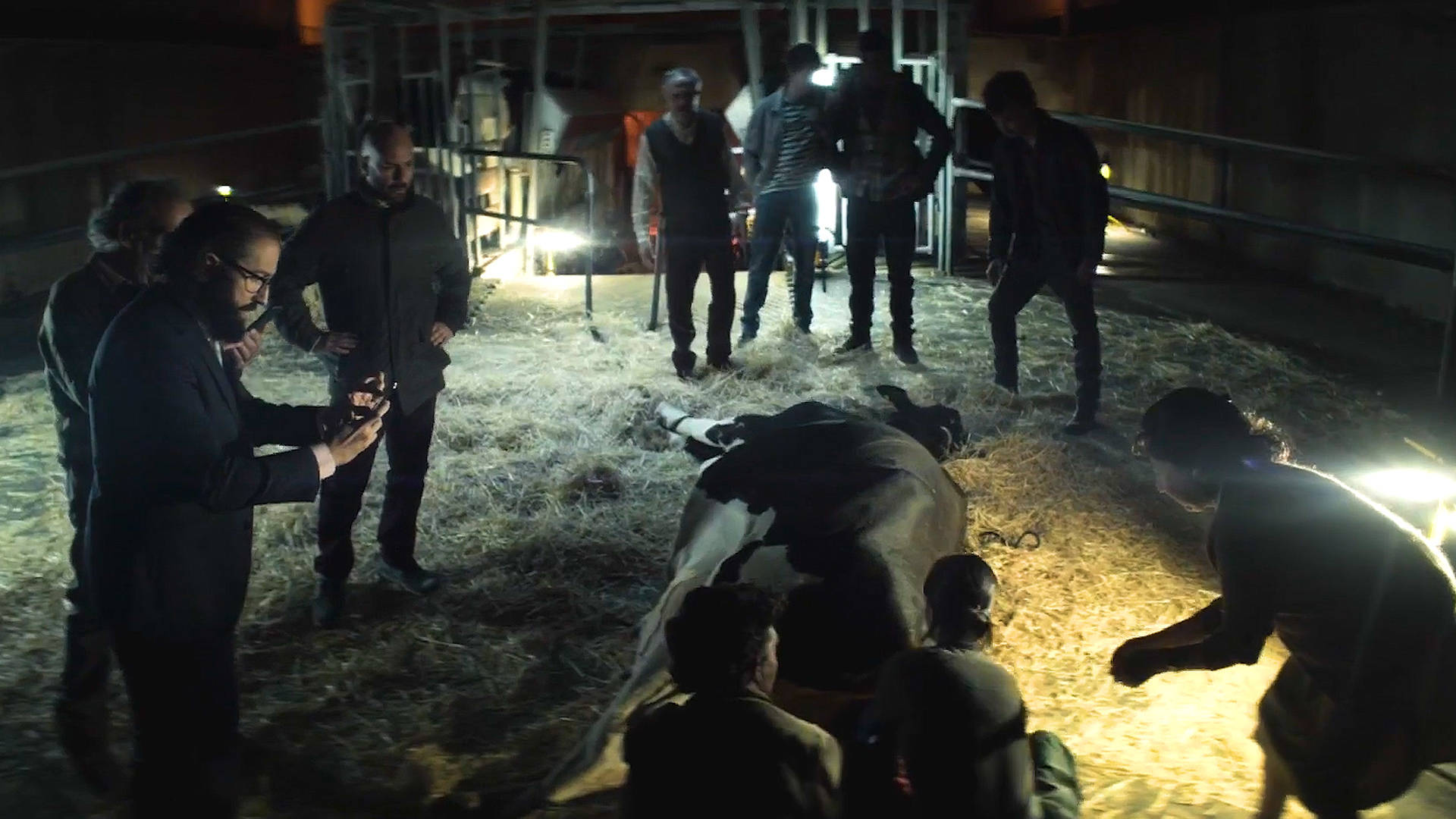 诡异小镇怪事连连神秘老人中枪不死母牛产下人类婴儿悬疑片