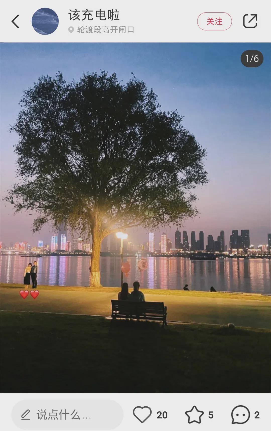 武汉江边那棵孤独又灿烂的树怎么就爆红了