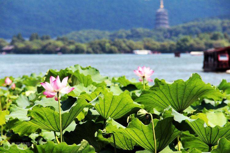 西湖不止杭州有，清朝时全国有36个西湖，连日本都有