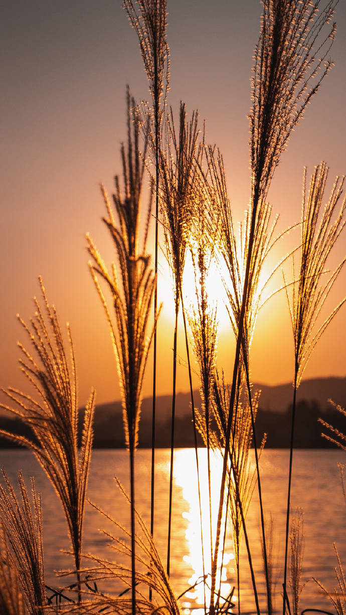 曾经的纯真年代,初恋的美_时间