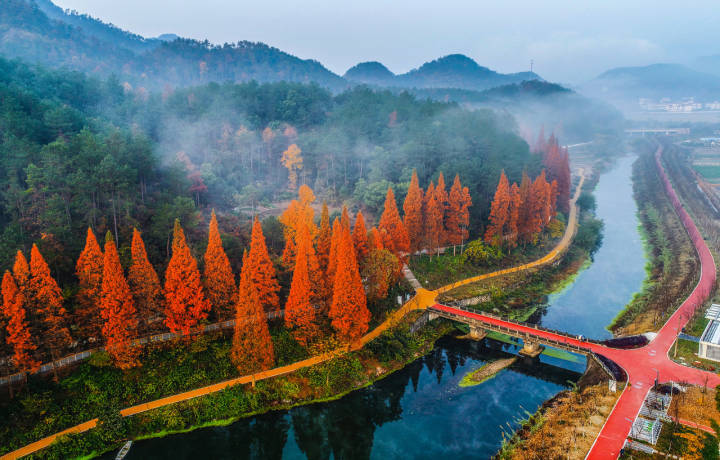 浦阳江生态廊道.吴拥军 摄